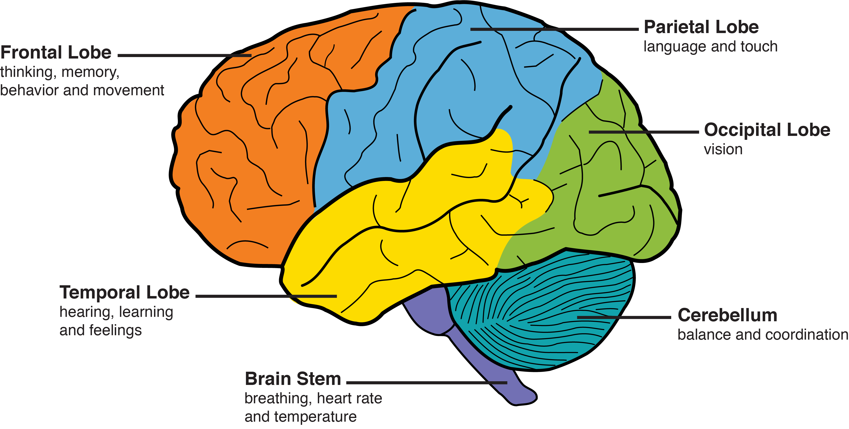 Behavior Personality Changes Memory And Aging Center